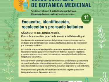 Imagen de la noticia Alpedrete verde. Curso completo de botánica medicinal
